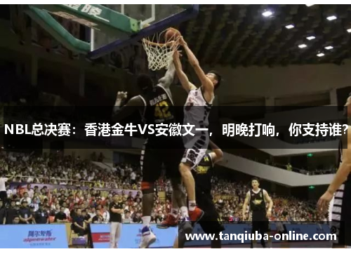 NBL总决赛：香港金牛VS安徽文一，明晚打响，你支持谁？
